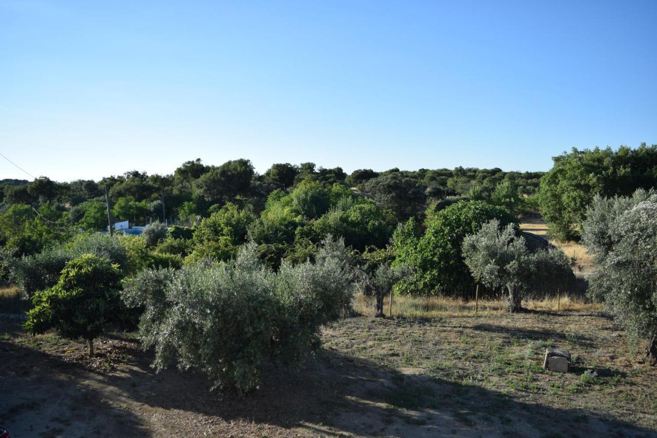 Memsoares Country House Castelo de Vide Eksteriør bilde